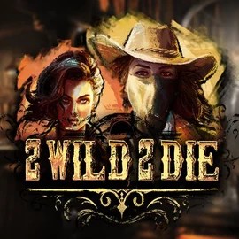 Play the 2 Wild 2 Die slot by Hacksaw Gaming on Slotmafia Casino