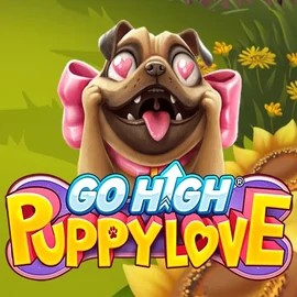 game logo by RubyPlay on slotmafiacasino.eu