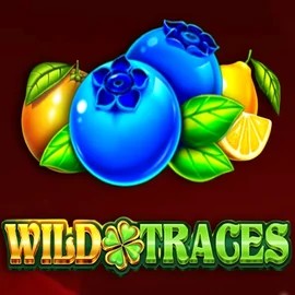 Wild Traces online slot from Amusnet Interactive – play at slotmafiacasino.eu